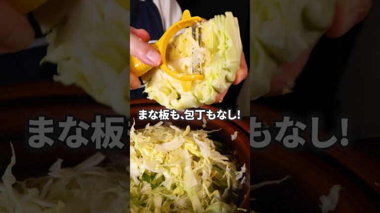 肉なしでも大満足！【たっぷり野菜の塩にんにく鍋】丁寧に工程を見たい人はアプリで検索！ #野菜 #キャベツ #鍋 #鍋レシピ #にんじん #春雨 #簡単レシピ #レシピ動画  #料理動画