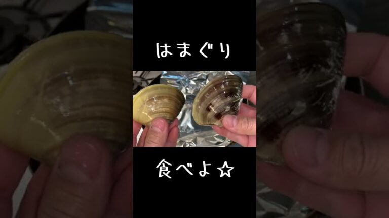 ハマグリを頂いたので＃Shorts