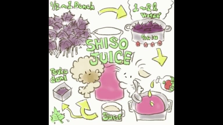 今年も赤紫蘇の季節がやってきた！夏を乗り切るエナジードリンク🥤💪／ぷぷまる #shorts