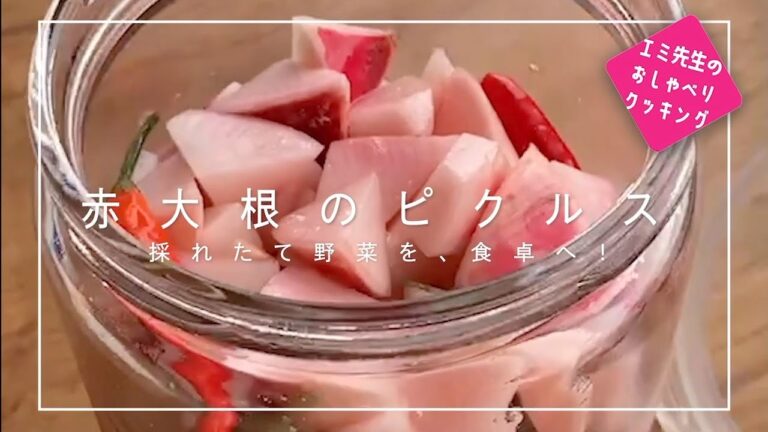 【プロが教える家庭料理】採れたて赤大根のピクルス！お酢少なくって出来るよ！