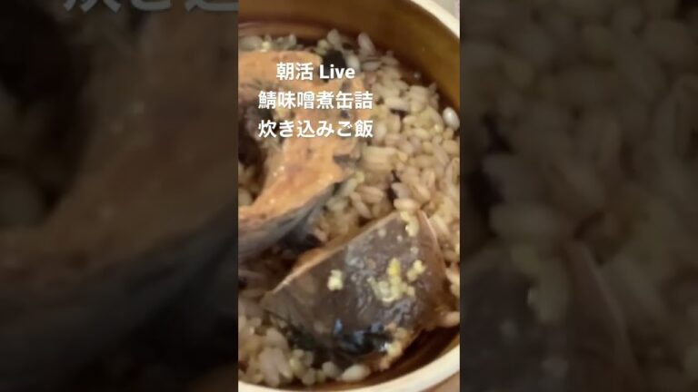 鯖味噌煮缶詰炊き込みご飯　#shorts #朝活