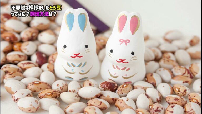 不思議な模様をしたとら豆ってなに？調理方法は？虎豆の栄養成分等