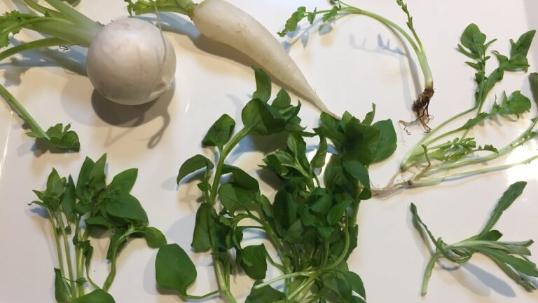 【七草粥】昨晩のヴィーガン☆おかゆ【胃にやさしいOKAYU】