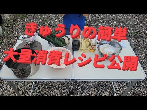 そうだ君　きゅうり大量消費レシピ　きゅうりのキュウちゃん漬けレシピ公開
