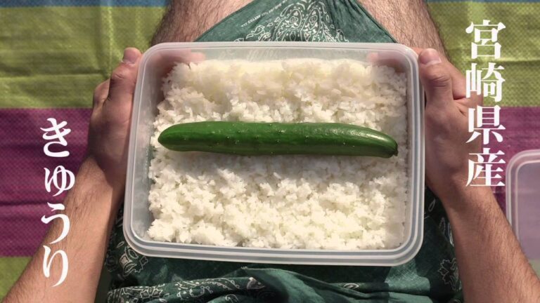 Cubic! 「bento｜弁当」　きゅうりをもっと美味しく、楽しく