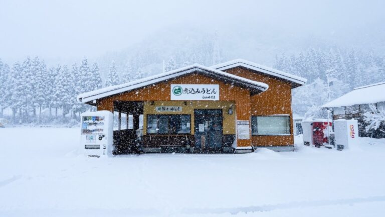 味噌煮込みうどん！もつ煮込みうどん！常連客に愛される北陸のうどん屋４選丨JAPANESE BEST UDON