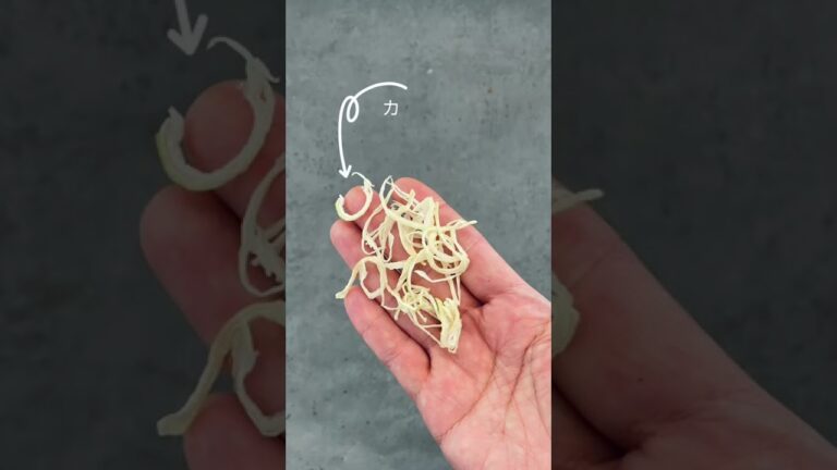 【干し野菜】干した玉ねぎは美味しくて使える‼️ #Shorts#干し野菜 #乾燥野菜 #玉ねぎ