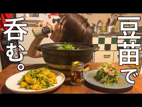 【豆苗レシピ】柚子胡椒を使った簡単おつまみレシピを3品ご紹介！鍋レシピもあります