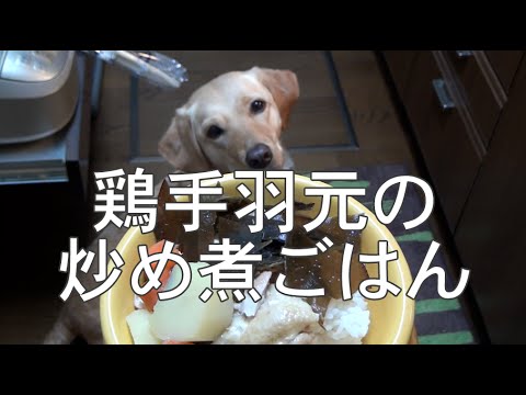 大型犬の手作りご飯：鶏手羽元の炒め煮込み