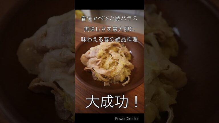 春キャベツと豚バラの絶品塩煮込#料理 #ホットクック #レシピ #簡単レシピ #包丁なし #材料2つ #キャベツ料理 #おかんごはん