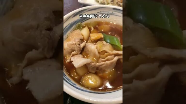 【太麺】ネギたっぷりの肉汁！大きなちくわ天と武蔵野うどん