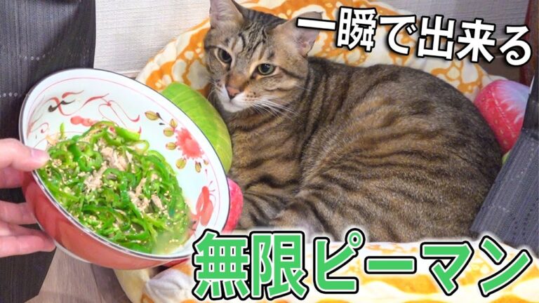 簡単なのに箸が止まらない！無限ピーマンが美味しすぎた....