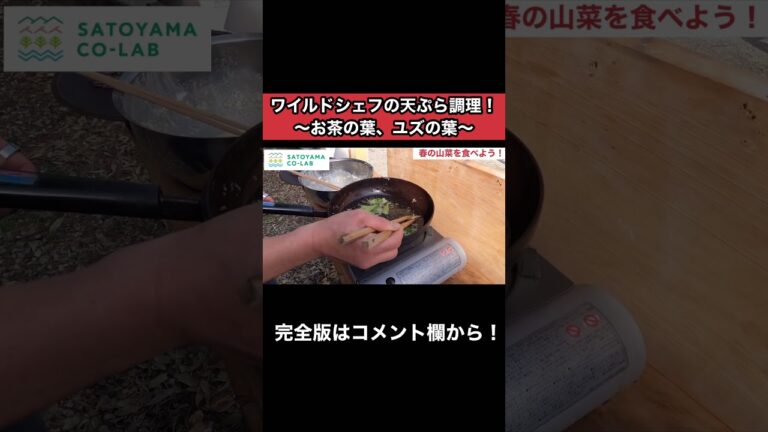 ワイルドシェフの天ぷら調理！〜お茶の葉、ユズの葉〜 #山菜 #春