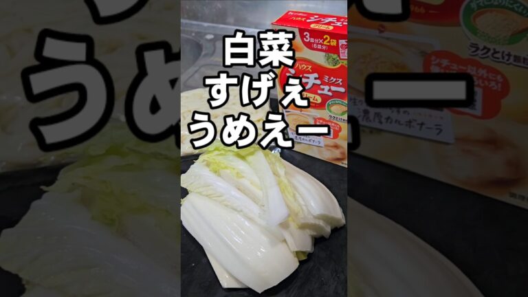 寒い時絶対やれ！白菜とろける簡単クリームシチュー煮うどん作り方 あったかメニュー レシピ
