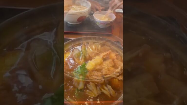 柏市うどん市の味噌煮込みうどん