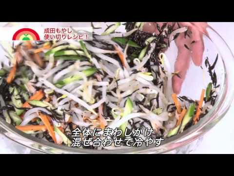 もやしとひじきの塩麹サラダ