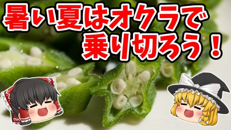 【ゆっくり解説】今が旬 夏野菜オクラの栄養効果を解説