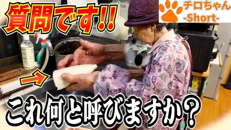 とある日の夕食 ばあちゃんのいか大根とスペアリブとばあちゃん独特の表現と。＃shorts