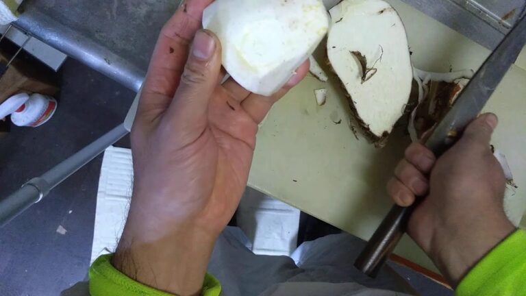 【料理】げんこつ位の里芋(親芋)の皮むき