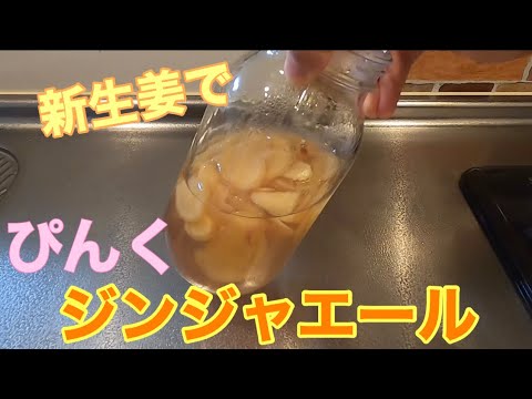 【ピンクジンジャエール】作り方