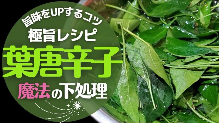 【葉唐辛子】の茹で方と下処理の方法！驚くほど美味しくなる！