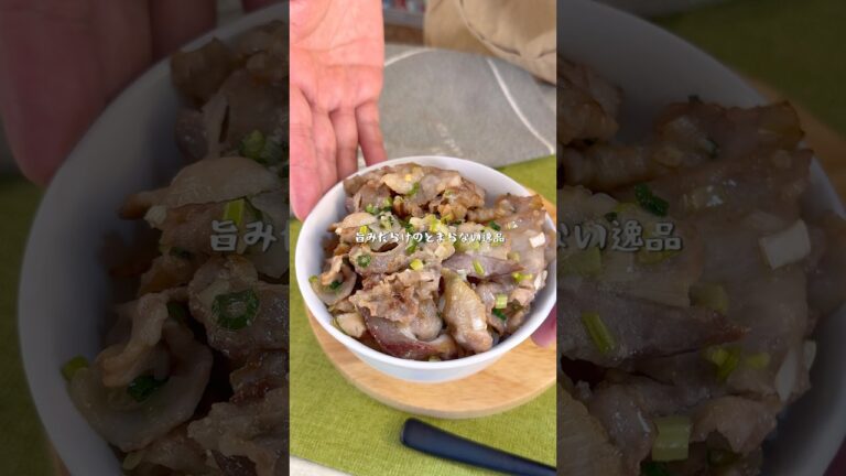 止めたいけど止まらない美味さ！ ネギたっぷり究極の塩豚バラ丼