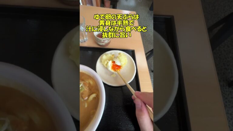 カレーうどんが日本一うまい店（僕調べ）みわや＠安中　　　　　　　　　　　　　　　　　　　＃カレーうどん　#みわや　＃安中　＃ランチ　＃讃岐うどん