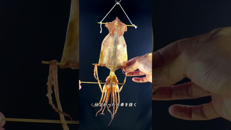 博士の愛したスルメ #shorts #driedsquid