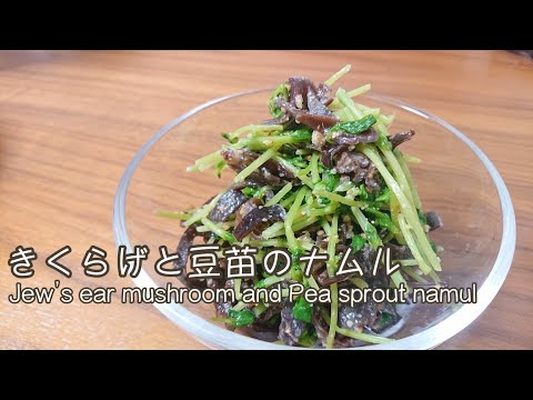 きくらげと豆苗のナムル お酒がすすむ 塩にんにくバージョン【料理】Jew’s ear mushroom and Pea sprout namul Let's Cooking！ / ジュエリーBOX