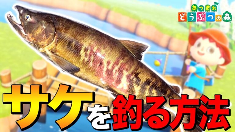 【あつ森】極上のイクラ丼「サケ」を釣る方法 ～Salmon～【あつまれ どうぶつの森】