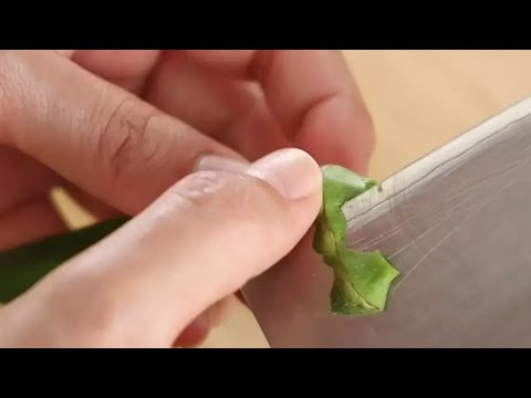 オクラのヘタとガクの取り方【やりかたのヒント】