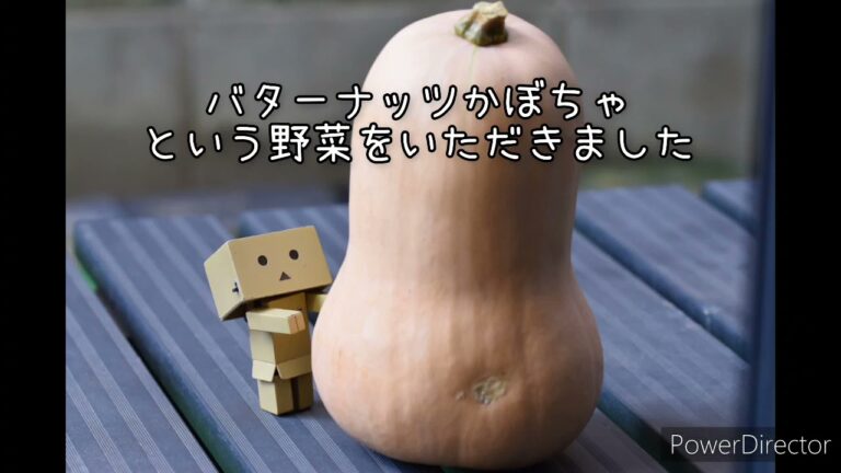 バターナッツかぼちゃのポタージュを作ろう