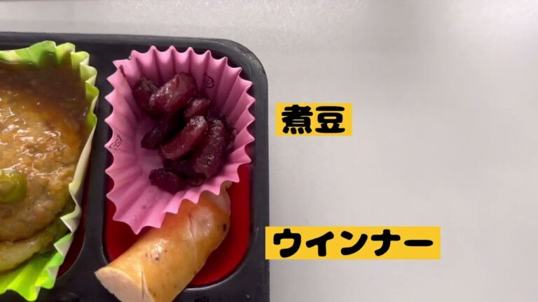 春の和風ハンバーグ弁当だぜ