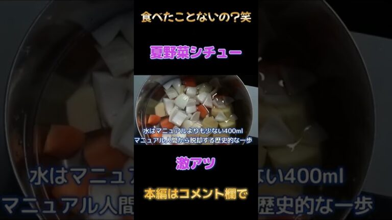 夏野菜シチュー:激アツ料理