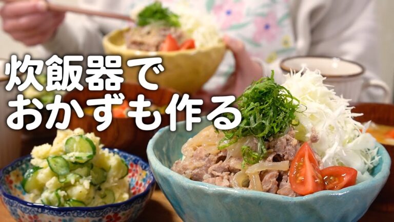 炊飯器ひとつで同時に調理！生姜焼きを炊いて作る30代夫婦のリアルな晩ごはん｜自炊記録【生姜焼きご飯】【ポテトサラダ】