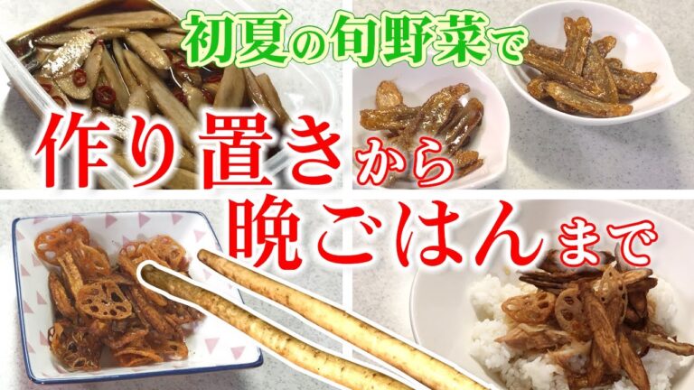 作り置きも晩ごはんも！初夏の旬野菜 新ゴボウ7本ぜ～んぶ薄切りしたら…あとは漬けるだけ揚げるだけで4品に！