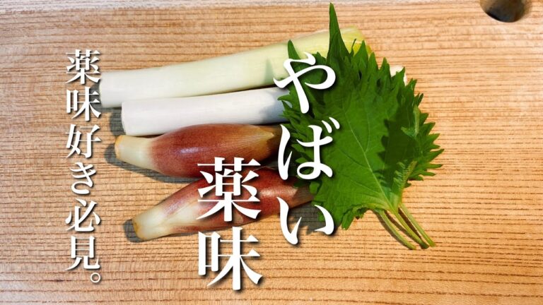 【薬味好きの1品】沼確！スティックおつまみの風雲児