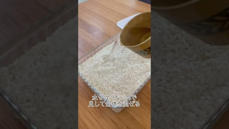 料理asmr塩麹作り