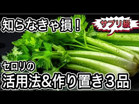 天然のサプリ【セロリは丸ごと】使い切りが正解！茎も葉も美味しく食べ切る無限レシピで体整う作り置き３品