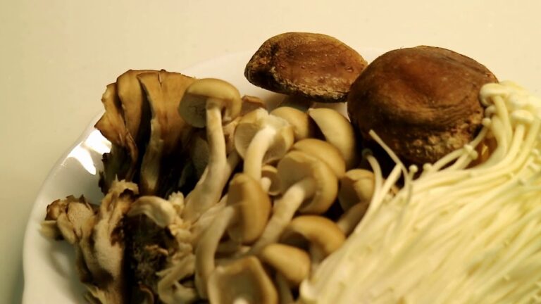 【EOS M3】飯テロ。しいたけ、しめじ、まいたけ、えのき 、動画。・ω・