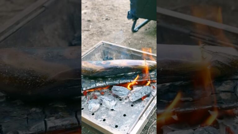 【キャンプ飯】焼きナス🍆👀　BBQ Eggplant 烤茄子　가지　#cooking #foodie #food #asmr #ズボラ飯 #camp #キャンプ #캠프 #營地 #露營