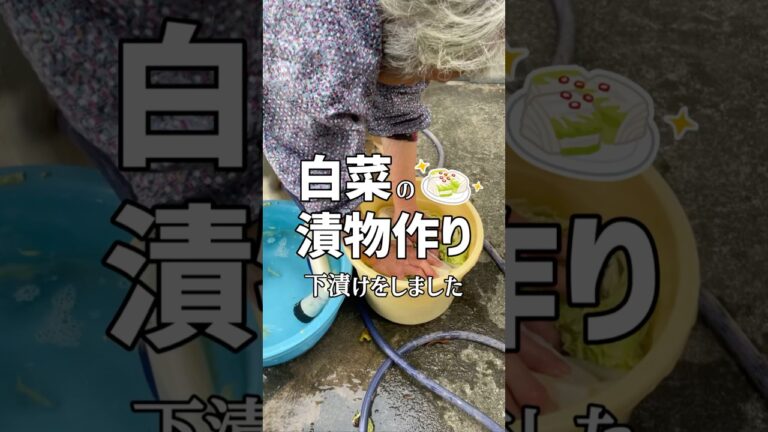 天日干しにした白菜で漬物を作るために下漬けをするばあちゃん #shorts