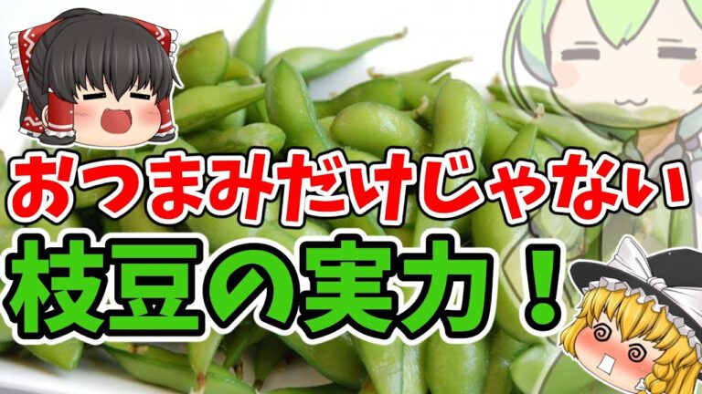 【ゆっくり解説】 おつまみの定番、枝豆の栄養と効果【VOICEVOX】