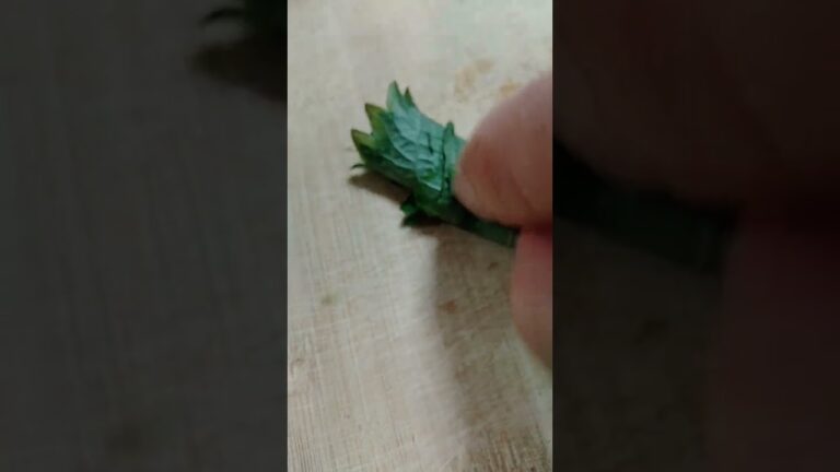 国産若鶏の手羽トロと大葉で作る『塩ごま油のニンニク焼き』マジ旨だから作ってみて！③　2023年8月3日