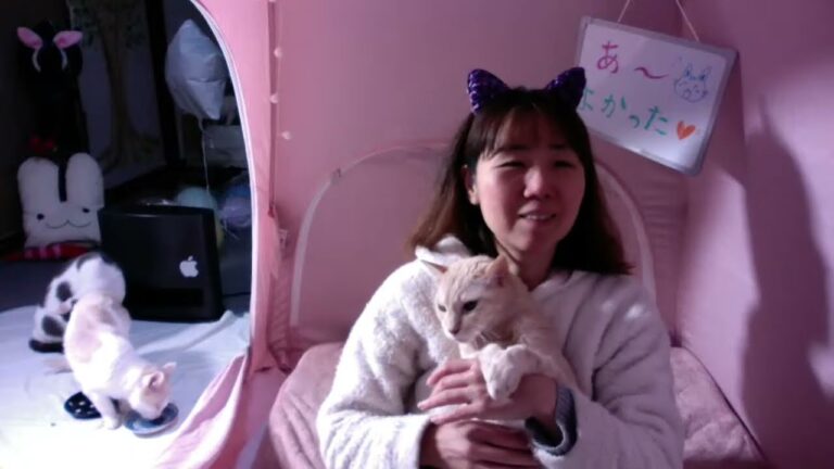 🔴お米がない【初見さん歓迎】日々の疲れを癒す♪夜のゆるふわ雑談ライブ