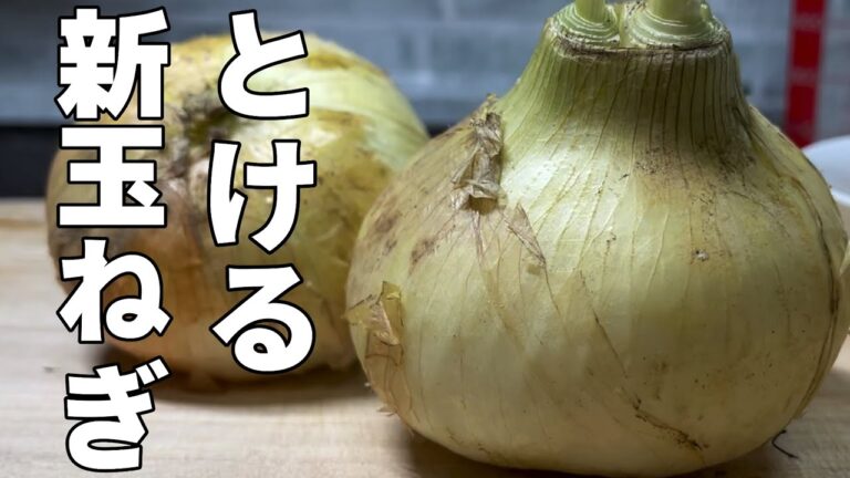 作り方解説【新玉ねぎ】トロトロレシピ！とろける新玉ねぎのコンソメスープを作って保存して！好きな時に召し上がってください！Japanese cooking