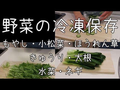 野菜の冷凍保存【もやし,小松菜,ほうれん草,きゅうり,大根,水菜】Frozen storage of vegetables