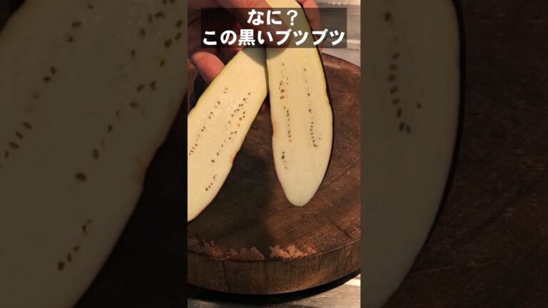 茄子に黒いブツブツが！腐ってる？捨てた方がいいの？