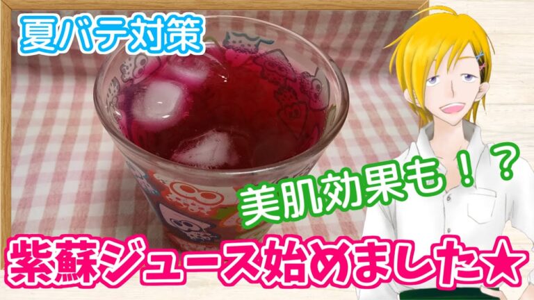 【夏に負けるな】紫蘇ジュース作ってみた