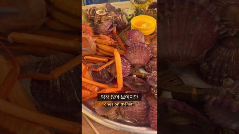 천만 유튜브 맛집 모듬해산물